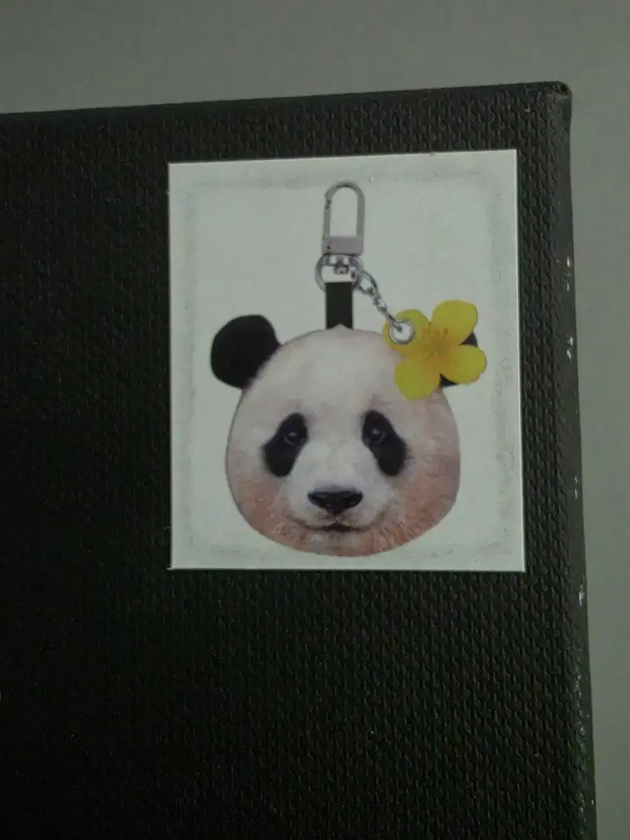 thumbnail-6
